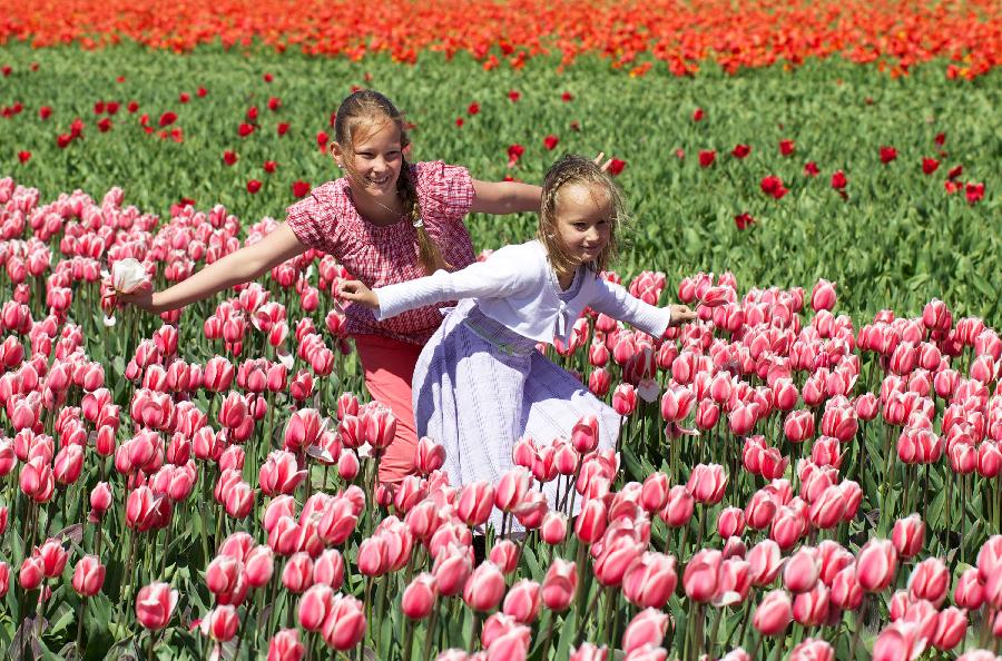 Two girls pose in the field of blooming tulips near Noordwijk, western area of the Netherlands, May 9, 2013. (Xinhua/Photo)