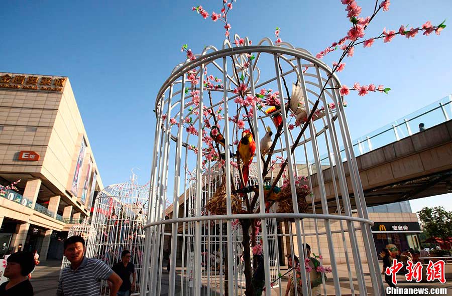 Residents walk through giant birdcages at a square in Nanjing, the capital city of east China's Jiangsu Province on Sunday, May 12, 2013. Six giant birdcages with artificial trees, flowers and birds inside were displayed in order to promote nature, environmental protection and a green lifestyle. [Photo: Chinanews.com]