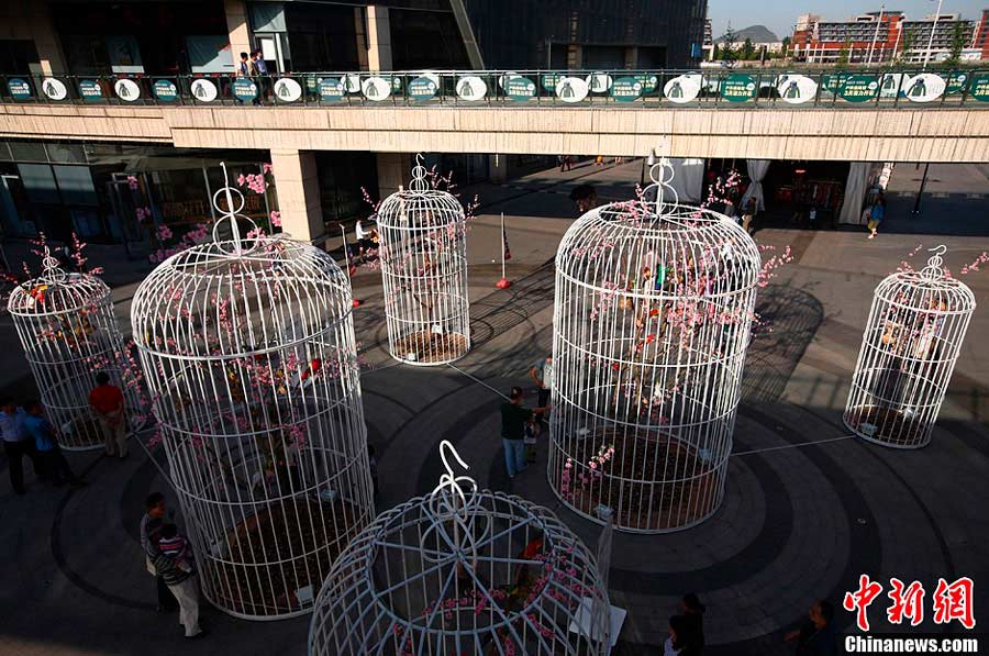 Residents stop in front of giant birdcages at a square in Nanjing, the capital city of east China's Jiangsu Province, on Sunday, May 12, 2013. Six giant birdcages with artificial trees, flowers and birds inside were displayed in order to promote nature, environmental protection and a green lifestyle. [Photo: Chinanews.com]