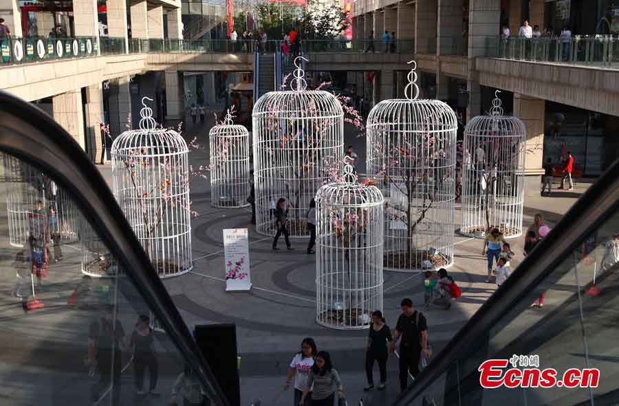 Six huge birdcages with artificial flowers, trees and birds inside are displayed to promote environmental protection and green lifestyle at a square in Nanjing, the capital city of East China's Jiangsu Province, May 12, 2013. (CNS/Yang Bo)