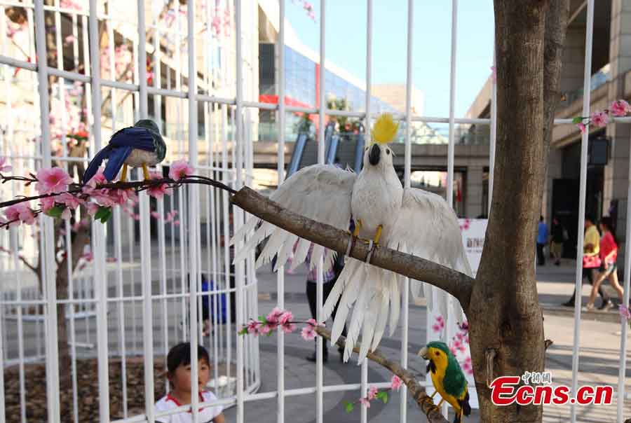 A huge birdcage with artificial flowers, trees and birds inside is displayed to promote environmental protection and green lifestyle at a square in Nanjing, the capital city of East China's Jiangsu Province, May 12, 2013. (CNS/Yang Bo)