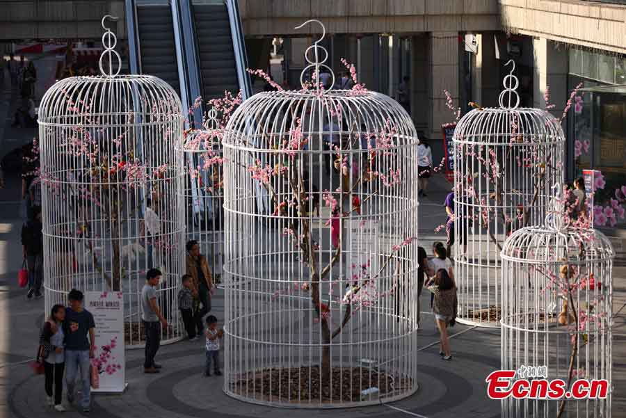 Huge birdcages with artificial flowers, trees and birds inside are displayed to promote environmental protection and green lifestyle at a square in Nanjing, the capital city of East China's Jiangsu Province, May 12, 2013. (CNS/Yang Bo)