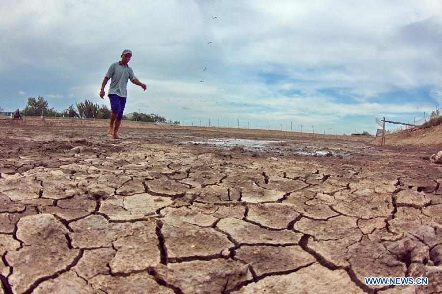 A farmer walks on a dried shrimp pond at Thanh Phu District of Ben Tre province in the Mekong Delta region of Vietnam, on May 15, 2013. With an area of 3.9 million hectares and a population of about 17.5 million people, the Mekong delta is the most vulnerable location in Vietnam to impacts of climate change including long lasting and deep flood, drought, tropical storms, erosion along the sea embankments. (Xinhua/VNA)