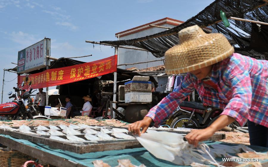 A woman has her last batch of fish dried before the annual fishing moratorium starts at Gangbei port in Wanning City, south China's Hainan Province, May 16, 2013. The annual fishing moratorium in Hainan lasts from May 16 to Aug. 1 each year. This year marks the 15th year of fishing moratorium here, and in total 9,007 fishing boats as well as 34,780 fisherfolks are involved. (Xinhua/Shi Manke) 