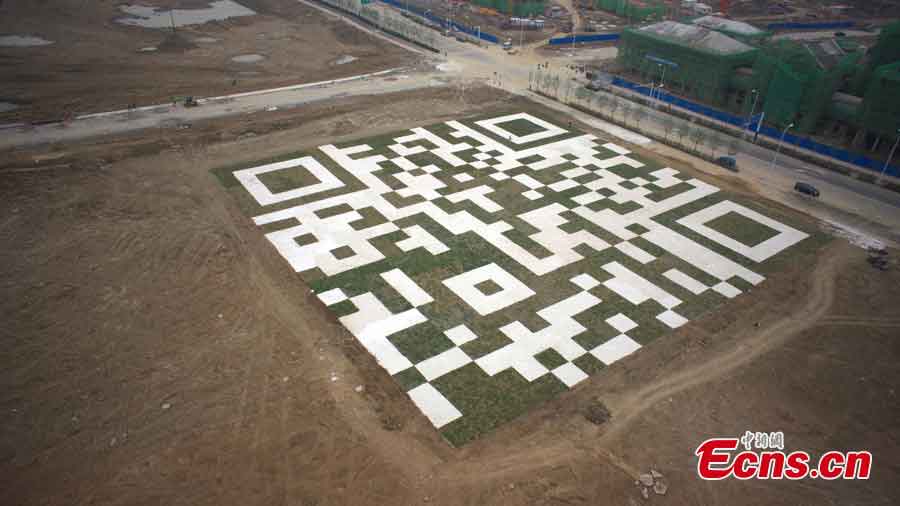 A huge lawn with a 2-dimensional bar code is seen at a construction site in Hefei, Anhui Province, May 16, 2013. The lawn, about 6,400 square meters, can be decoded by smartphone apps from above to play music and videos. (CNS/Zhang Yazi)