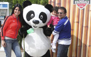 Giant pandas from China make Toronto  debut