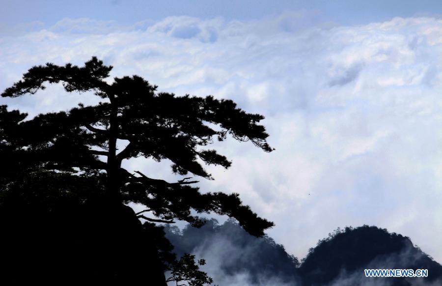 Photo taken on May 19, 2013 shows the sea of clouds at the Mount Huangshan scenic spot in Huangshan City, east China's Anhui Province. (Xinhua/Shi Guangde)