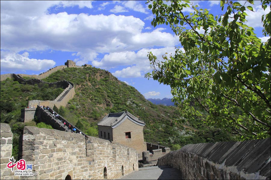Straddling the demarcation between Hebei province and Beijing, the Jinshanling Great Wall is rich in architectural history and natural scenery. In summer, the temperature here is at least five degrees cooler than in the capital, making it an ideal destination for weekend excursions. This particular section of Great Wall is said to be particularly photogenic. (China.org.cn)