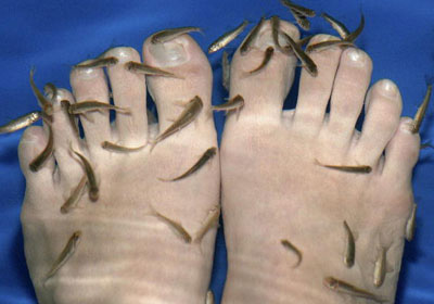 Fish foot massage (Photo Source: huanqiu.com)