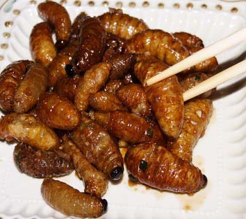 Worms (Photo Source: huanqiu.com)