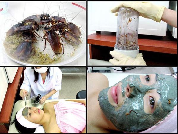 South Korean cockroach facial beauty mask (Photo Source: huanqiu.com)