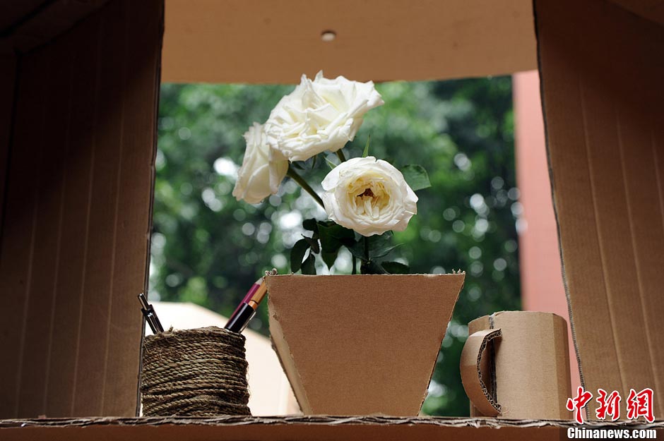 A flowerpot is seen in an eco-friendly house made of paper boxes at Chongqing University in Southwest China's Chongqing Municipality, May 20, 2013. (CNS/Chen Chao)