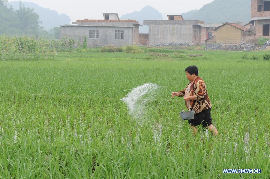 A farmer spreads fertilizer at the fields in Siping Village of Hechi City, south China's Guangxi Zhuang Autonomous Region, May 21, 2013. (Xinhua/Wei Rudai)