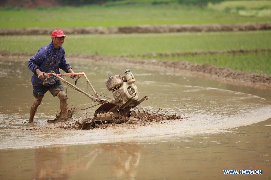 A farmer works at the fields in Huazhu Village of Shiyan City, central China's Hubei Province, May 21, 2013. (Xinhua/Zhang Lei)