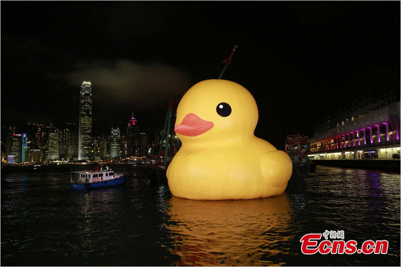 The giant inflatable rubber duck returns to Victoria Harbour, Hong Kong, May 21, 2013. It was abruptly deflated for maintenance for almost a week. The 16.5-meter-tall duck, conceived by Dutch artist Florentijn Hofman, sailed into the harbor on May 2 to cheering crowds.