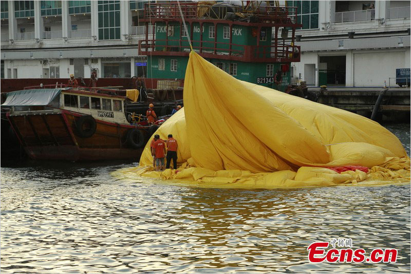 The giant inflatable rubber duck is deflated for maintenance in Victoria Harbour, Hong Kong, May 14, 2013. (Photo/ ecns.cn)