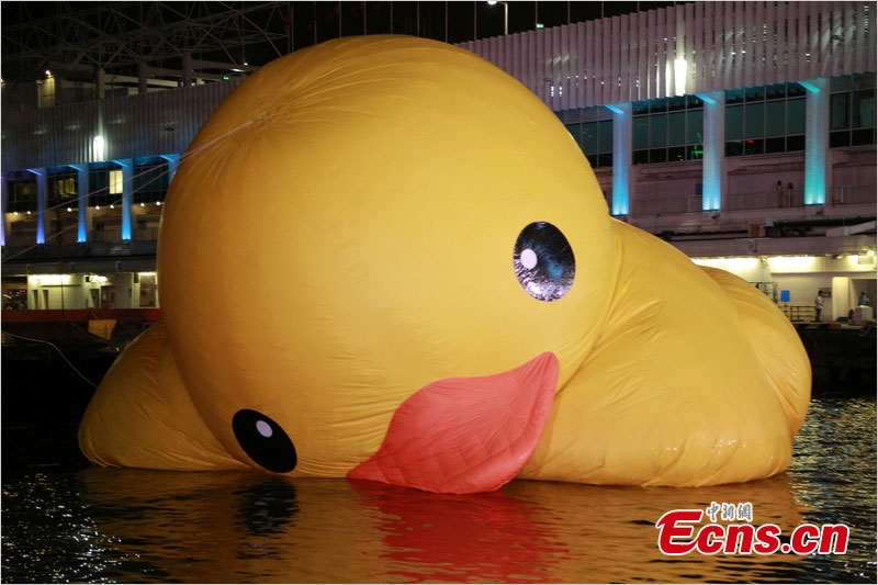 The giant inflatable rubber duck is deflated for maintenance in Victoria Harbour, Hong Kong, May 14, 2013.