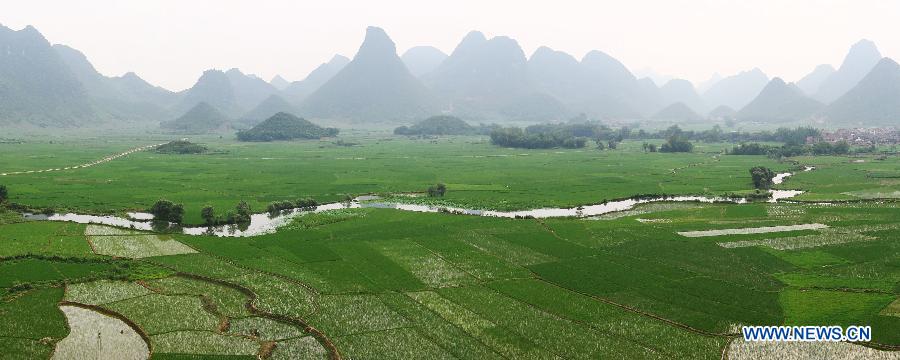Photo taken on May 21, 2013 shows the rural scenery of Guzhai Village of Liucheng County, south China's Guangxi Zhuang Autonomous Region. (Xinhua/Deng Keyi) 