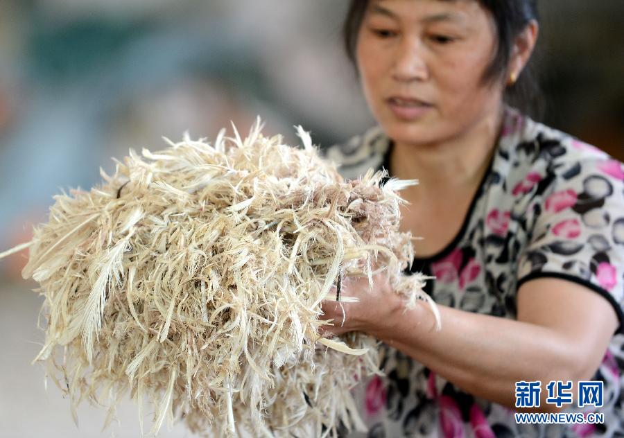 The H7N9 bird flu epidemic is hitting the country's down products manufacturers.(Photo/Xinhua)