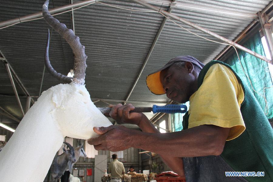 A worker polishes the body frame of a trophy made from foam-like material at the TROPHÄENDIENSTE taxidermy factory, in the suburb of Windhoek, capital of Namibia on May 22, 2013. With a great variety of wildlife and developed hunting services, Namibia attracts hunters from all over the world who prefer to have their quarries made into trophies. With 22 years of experience in the business, TROPHÄENDIENSTE taxidermy factory in the suburb of Windhoek caters for all the needs of trophy-hunters, bring the dead animals to life again with its taxidermy techniques. (Xinhua/Gao Lei)