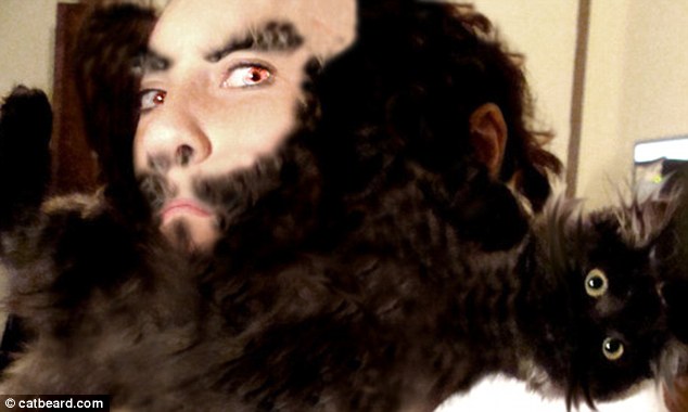 Cat bearding: Hottest feline craze takes over internet 