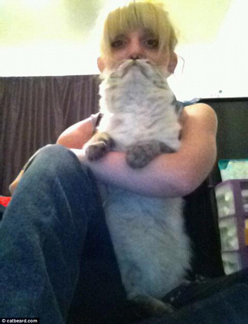 Cat bearding: Hottest feline craze takes over internet  (4)