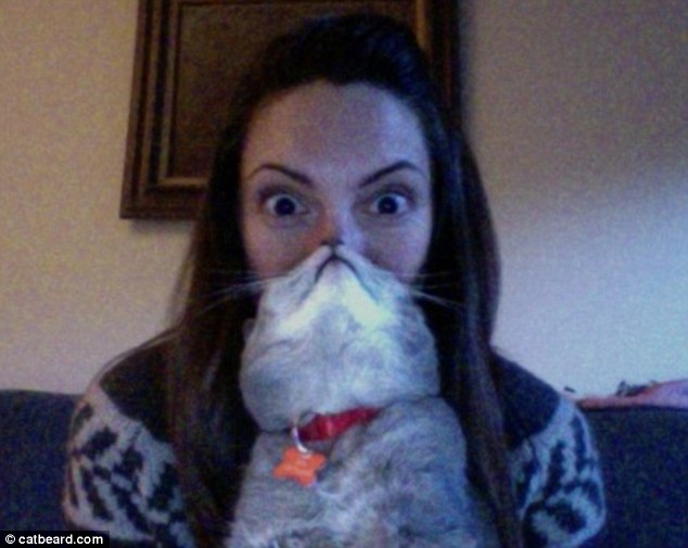 Cat bearding: Hottest feline craze takes over internet  (11)