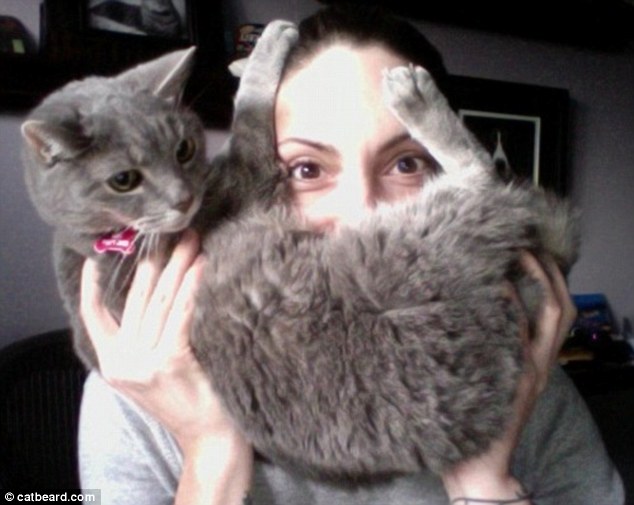 Cat bearding: Hottest feline craze takes over internet  (9)