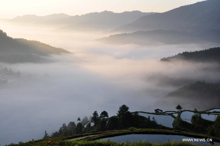Photo taken on May 22, 2013 shows the scenery of the sea of clouds and the terraced fields at the Pingzhai Township of Liping County, southwest China's Guizhou Province. (Xinhua/Yang Daifu) 