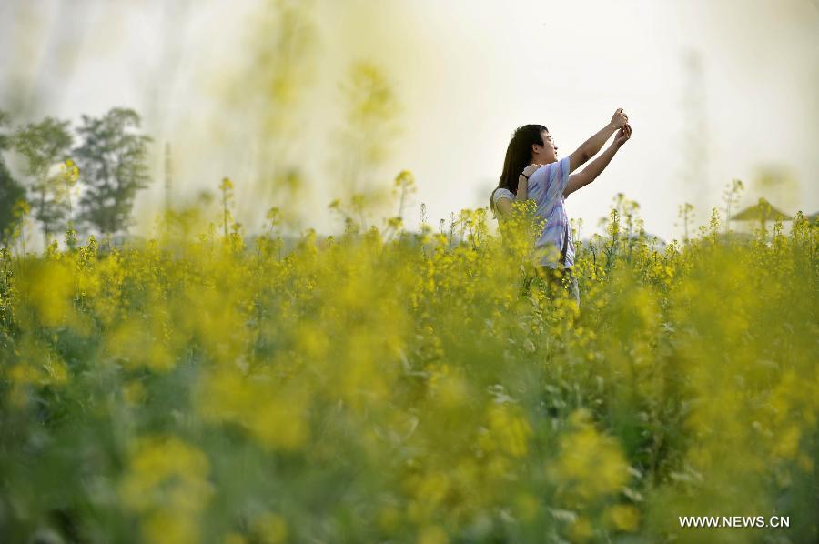 A pair of couple take a self-portrait in a rape flower field in Beijing, capital of China, May 25, 2013. Rape flower blossom in the outskirt of Beijing attracted city dwellers over the weekend. (Xinhua/Song Weiwei)