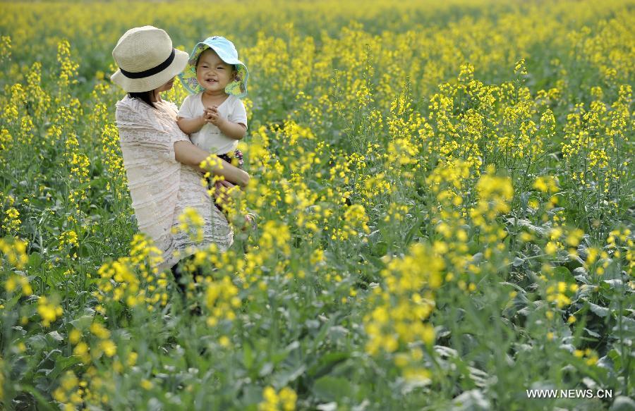 A young mother and her child have fun in a rape flower field in Beijing, capital of China, May 25, 2013. Rape flower blossom in the outskirt of Beijing attracted city dwellers over the weekend. (Xinhua/Song Weiwei)