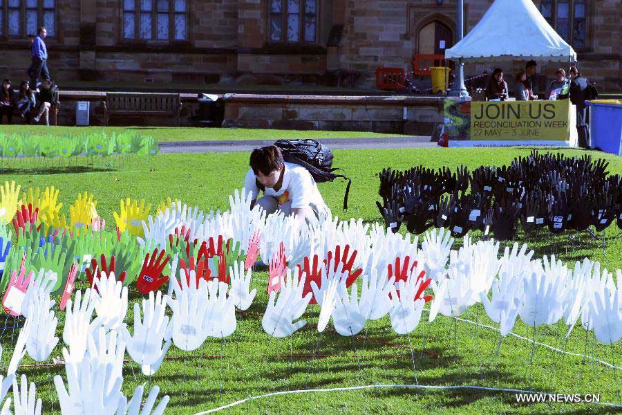 A boy student plants a plastic hand in the large art work of "The Sea of Hands" during the Reconciliation Week 2013 in the University of Sydney, Australia, May 27, 2013. The first "Sea of Hands" was held on Oct. 12, 1997, in Australia's capital of Canberra. (Xinhua/Jin Linpeng) 