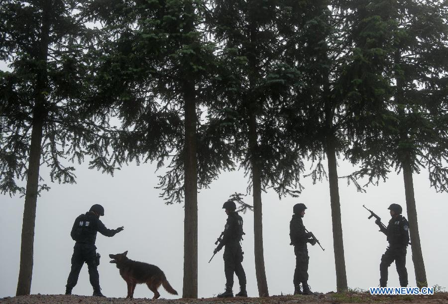 Members of SWAT (Special Weapons and Tactics) team receive training in the Jingning She Autonomous County, east China's Zhejiang Province, May 28, 2013. (Xinhua/Li Suren)