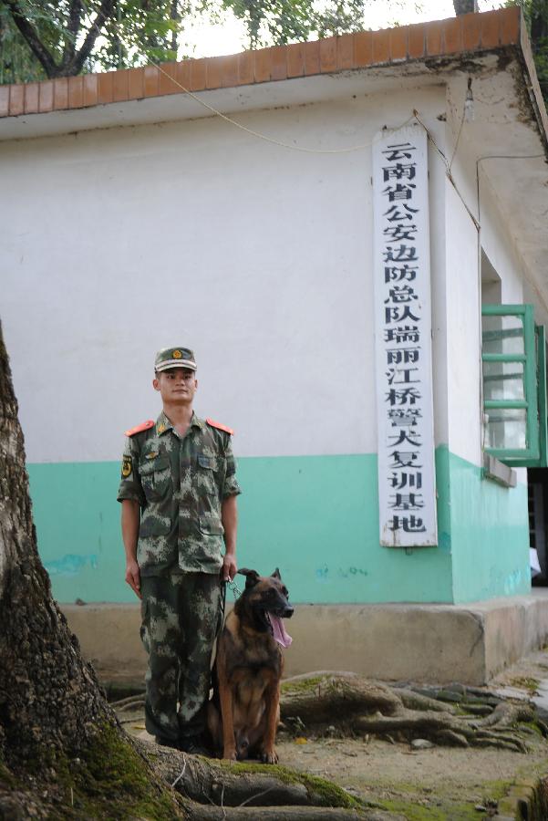 Lan Wu, a sniff dog handler, and sniff dog "Jiang Hao" pose for a picture at Jiangqiao police dog training base in Ruili City of Dehong Dai-Jingpo Autonomous Prefecture, southwest China's Yunnan Province, May 26, 2013. Jiang Hao, a Belgian Malinois, has helped solving 68 drug cases since it came to the base in 2008. Jiangqiao police dog training base, which is under the administration of the local border frontier corps, has helped solving more than 400 cases since it was founded in 2003. (Xinhua/Qin Lang)