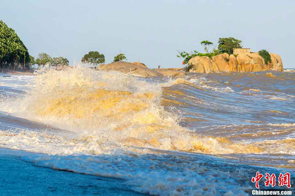 Tidal bores reach Sanniang Bay in Qinzhou, South China's Guangxi Zhuang Autonomous Region, May 27, 2013.( CNS/Li Binxi)