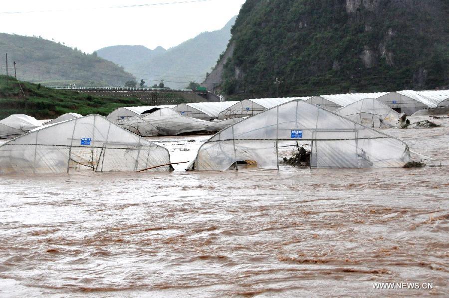 Vegetable greenhouses are flooded in Changba Village of Bijie City, southwest China's Guizhou Province, May 29, 2013. Heavy rainfall hit the city from Tuesday to Wednesday. (Xinhua/Deng Jie) 