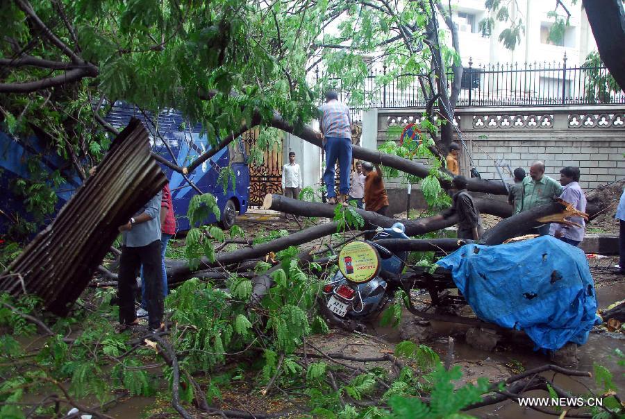 People remove the fallen trees after a sudden rain in Hyderabad, India, May 29, 2013. The monsoon rains, crucial for India's agriculture, are expected to set over southernmost Kerala state next 3 to 4 days, according to the India Meteorological Department. (Xinhua/Stringer) 