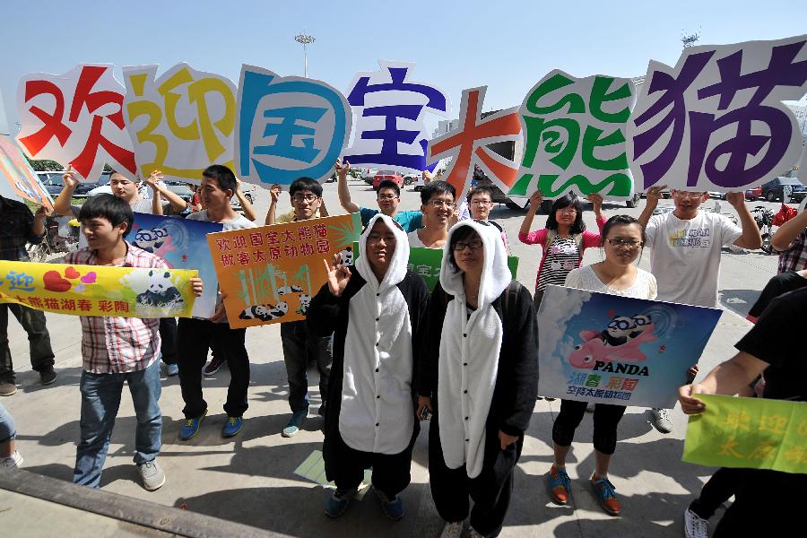 People greet giant pandas "Hu Chun" and "Cai Tao" at Wusu International Airport in Taiyuan, capital of north China's Shanxi Province, May 30, 2013. The panda pair from the Bifengxia Panda Base in southwest China's Sichuan Province arrived in Taiyuan by airplane Thursday, starting their one-year sojourn at the Taiyuan Zoo. (Xinhua/Zhan Yan)