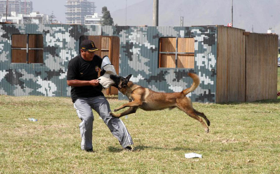 Military exhibition held in Peru