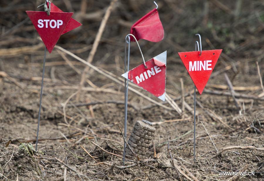 Landmines are found and marked in a minefield near Lasinja, a village 40 kilometers south of Zagreb, capital of Croatia, May 29, 2013. Croatia is clearing 667 square kilometers of minefields in 12 counties, 93 cities and municipalities. These areas are thought to contain approximately 90,000 land mines left over since the Croatian War in early 1990s. (Xinhua/Miso Lisanin) 
