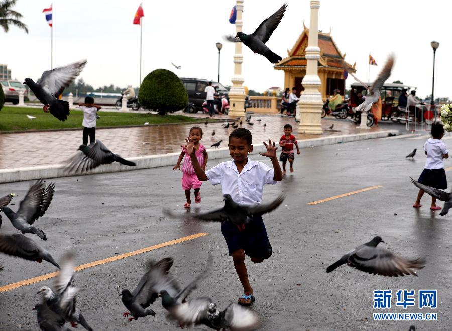 Several children chase after the pigeons on a square in Phnom Penh, Cambodia, Nov. 15, 2012. (Photo/Xinhua)