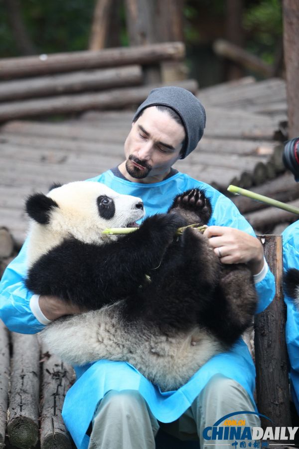 Backstreet Boys' Kevin Richardson helps feed baby pandas with bamboo at Chengdu Research Base of Giant Panda Breeding in Southwest China's Sichuan province, May 30, 2013. (Chinadaily.com.cn/Zhu Dayong)