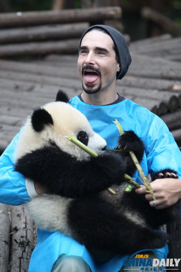 Backstreet Boys' Kevin Richardson helps feed baby pandas with bamboo at Chengdu Research Base of Giant Panda Breeding in Southwest China's Sichuan province, May 30, 2013. (Chinadaily.com.cn/Zhu Dayong)
