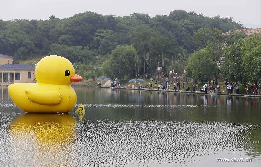 Photo taken on June 1, 2013 shows a mini rubber duck floating on a lake in the Hannan District of Wuhan, capital of central China's Hubei Province. The duck, made by a property company, is a mini copy of the huge rubber duck which appeared in Hong Kong, south China, on May 2. (Xinhua) 