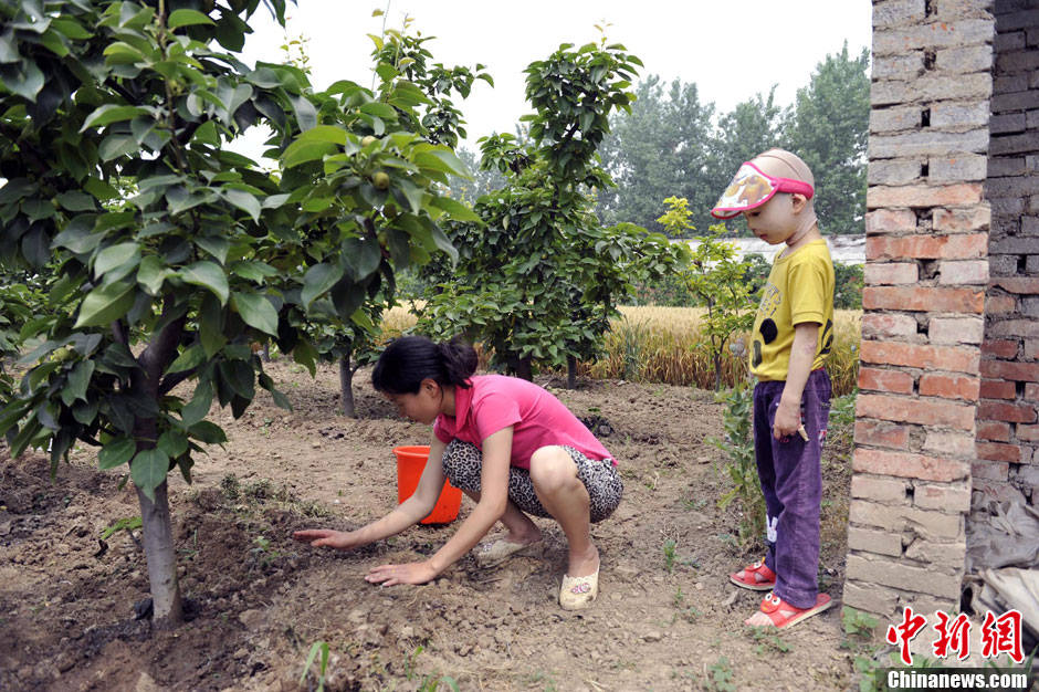 Cao helps her mother work in field. (Photo/Chinanews)