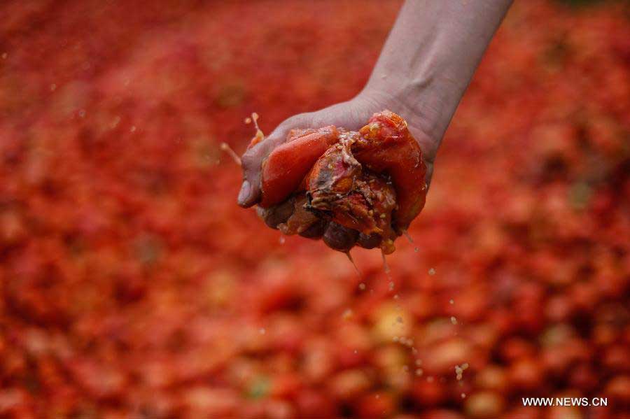 A reveller crushes a tomato during the annual tomato fight called "Tomatina", in Sutamarchan municipality, Bocoya department, Colombia, on June 2, 2013. (Xinhua/Jhon Paz) 