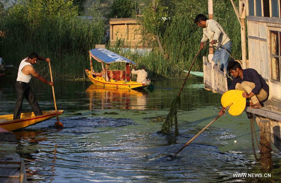 Kashmiri boatmen remove weeds from polluted waters of Dal Lake in Srinagar, summer capital of Indian-controlled Kashmir, June 4, 2013. The World Environment Day that falls on June 5 is celebrated by the United Nations to stimulate worldwide awareness of environmental issues and encourages political action. (Xinhua/Javed Dar)