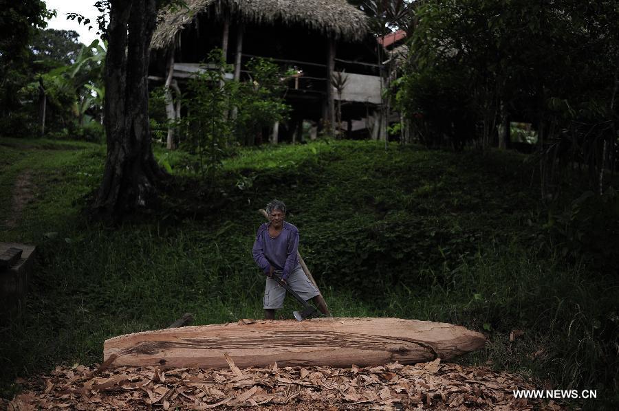 A man of the Wounaan ethnic group builds a wood-based canoe, at the bank of lake Gatun in the Ella Puru Embrea community, outskirts of Panama's capital Panama City, on June 4, 2013. The Embrea and Wounaan indigenous groups are related to the environment through a economy based on agriculture, hunting, fishing and gathering, and now a days with small surplus for trade. The General Assembly of the United Nations (UN), declared June 5 as the World Environment Day. (Xinhua/Mauricio Valenzuela)