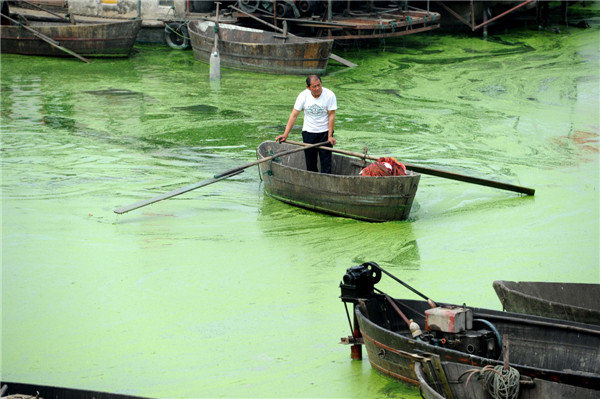 Several fishing boats at Chaohu Lake are covered in blue-green algae in Hefei, East China's Anhui province, on June 4, 2013. The algae can lead to loss of oxygen and result in fish deaths. As one of China's five largest freshwater lakes, Chaohu Lake has been plagued by massive blue-green algae outbreaks in recent years, as the rising domestic and industrial sewage from the bourgeoning population and industry in adjacent regions led to high levels of nitrogen and phosphorus in the water. In order to improve the water quality in Chaohu Lake, Anhui province has launched a program to connect Chaohu Lake with Yangtze River, China's longest river, and Huaihe River. [Photo/Xinhua]