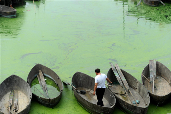 A fisherman rows along algae-covered Chaohu Lake in Hefei, East China's Anhui province, on June 4, 2013. The blue-green algae can lead to loss of oxygen and result in fish deaths. As one of China's five largest freshwater lakes, Chaohu Lake has been plagued by massive blue-green algae outbreaks in recent years, as the rising domestic and industrial sewage from the bourgeoning population and industry in adjacent regions led to high levels of nitrogen and phosphorus in the water. [Photo/Xinhua]